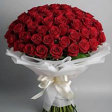 Букет 101 Красная роза Блэк Мэджик в Калья