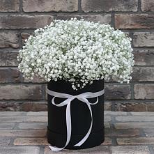 Цветочная композиция из Гипсофила в шляпной коробке в Калья