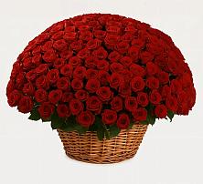 Премиум букет из: Розы #REPLACE_PRED# Калья