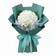 Букет цветов из:  Гортензия в Калья